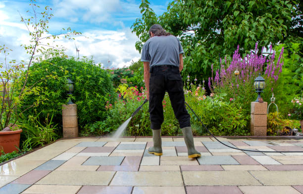 Best Fence Cleaning and Maintenance in Plandome, NY