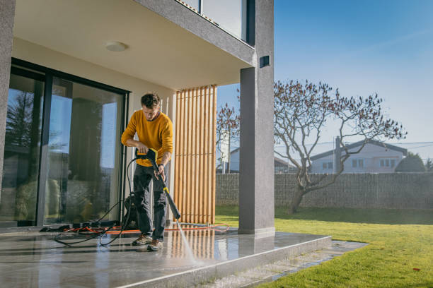 Best Roof Cleaning and Mildew Removal in Plandome, NY